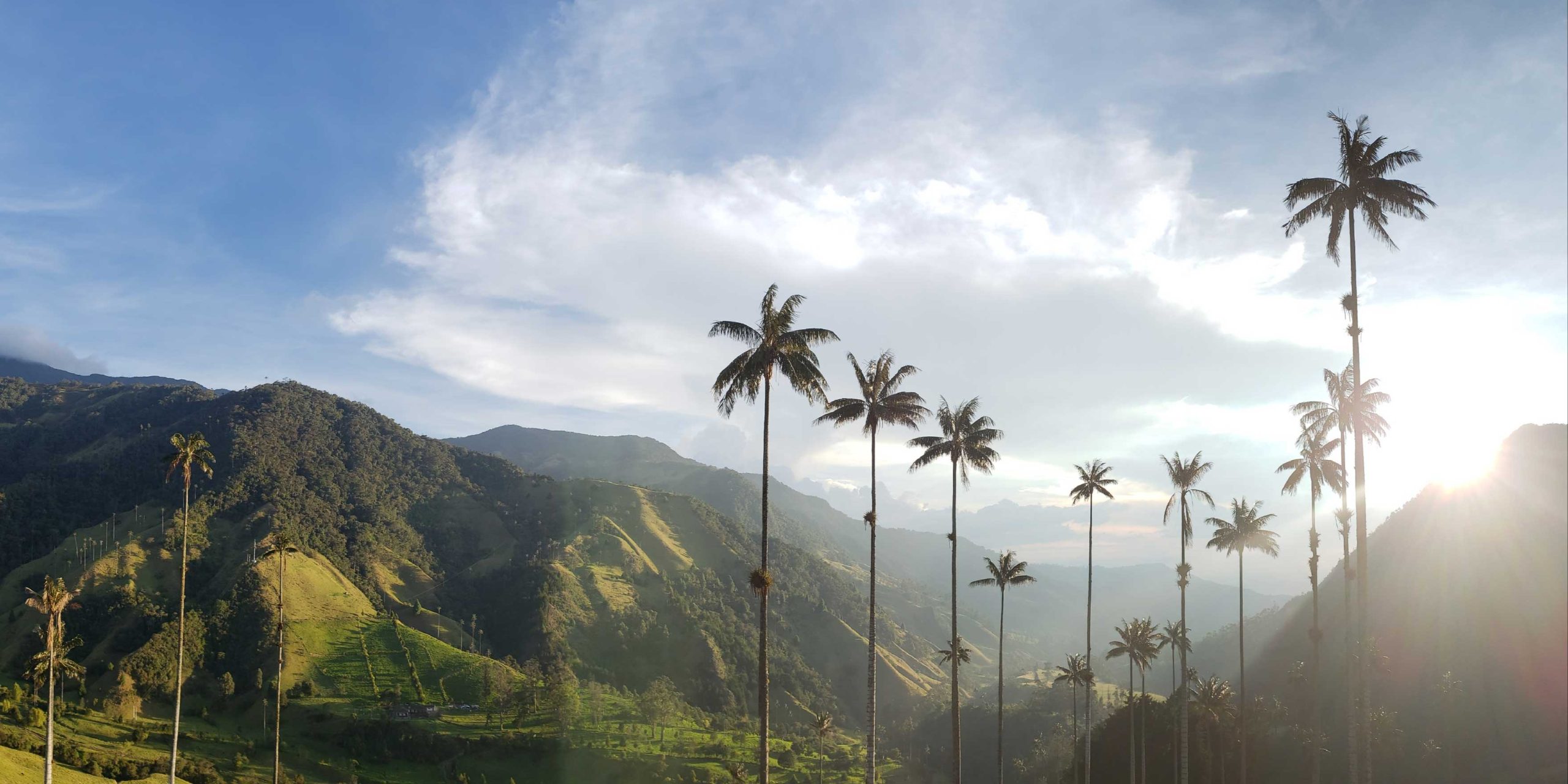 Cocora Valley of Colombia 3 days trip