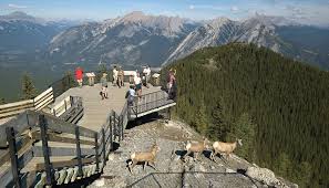 Banff Gondola and Sulphur Mountain