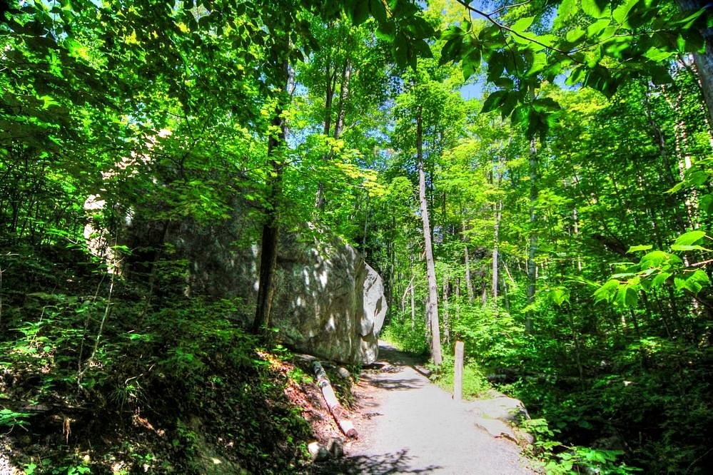 The Lookout Trail in Algonquin Park
